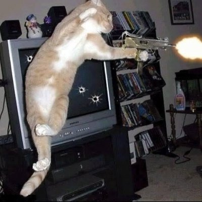 bhandy_y's profile picture. meggyőződésem hogy van valami agyi problémám