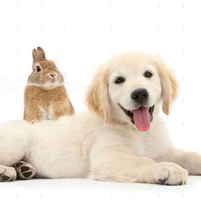 き ー ち ゃ んさんのプロフィール画像