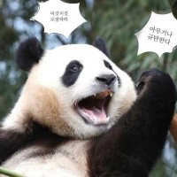 fufufuao (@yujae0921) 's Twitter Profile