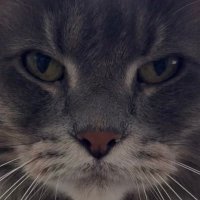 Jose Fernandez (@jfernandez__) 's Twitter Profile