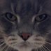 Jose Fernandez (@jfernandez__) Twitter profile photo Jose Fernandez (@jfernandez__) Twitter profile photo