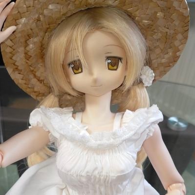 ドールが色々居ます。
外食と旅行も好きです☺
#ドール #libidoll #ハイブリッドアクティブフィギュア #DD #MDD #ドルフィードリーム