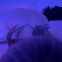 けーまん (@k_manpaco) 's Twitter Profile