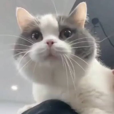 sanu1425926's profile picture. Never settle