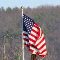 DeeRod 🇺🇲🦅 (@818rod805) 's Twitter Profile Photo