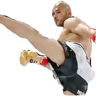 kicktate's profile picture. Tate kicks everything