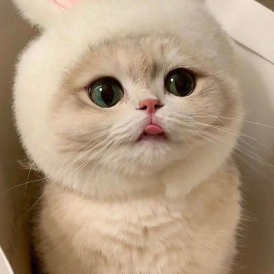 eonamarvela's profile picture. 