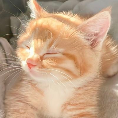 HuiHuangDDFS's profile picture. 辉煌