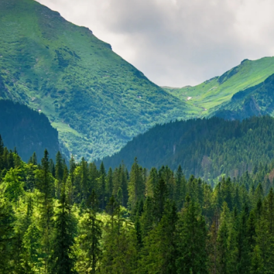 Vadim1538787's profile picture. 