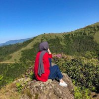 🦋امل🦋 (@msfaiz1s) 's Twitter Profile