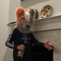 Dresden🔜LVFC (@steelechasexxx) 's Twitter Profile