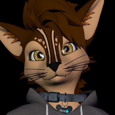 Male | 35 | Taken Complicated | 🇬🇧 | Species: chusky | TikTok 45k | VRC Comms exp 3 years
| Blender Edits/creator | Certified Cuddle addict 🫂|