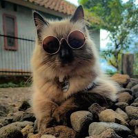 Ini Jerry | nexyai.io (@inijerry06) Twitter profile photo