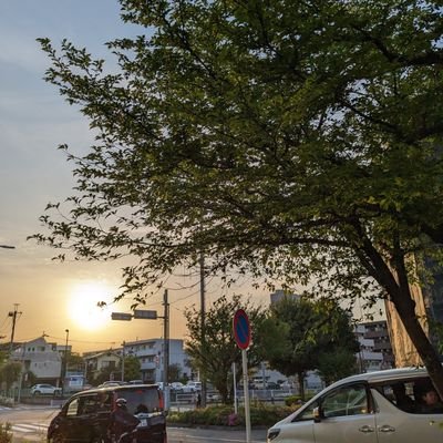 lorr_honne's profile picture. 💚💜🫰 i live so i love |
usually screams for things and people i love.