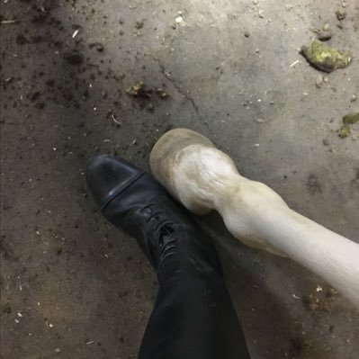 vcex16's profile picture. صيدلانيه و خيّاله يعني بتاع كلو