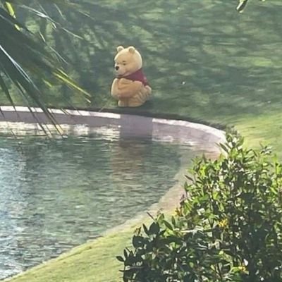 NannyangeSasha's profile picture. silent partner of the God when foundation