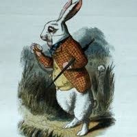 ∄ Environmental, Animal, Housing Justice law and a lot of trademarks too.