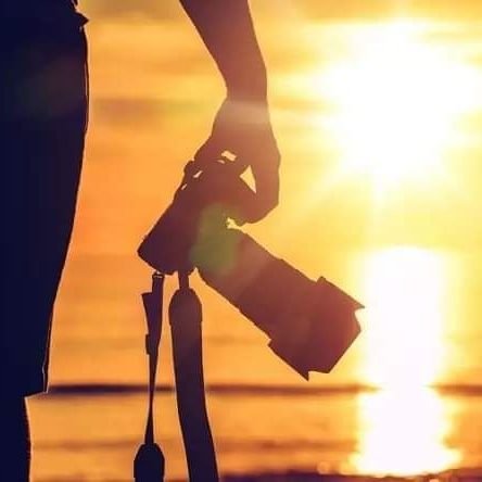 Adello321's profile picture. 