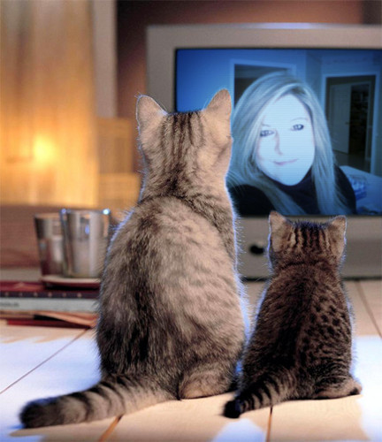 snickers9601's profile picture. 