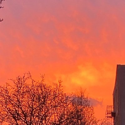 QOlajide16060's profile picture. 