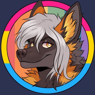 Ninesさんのプロフィール画像