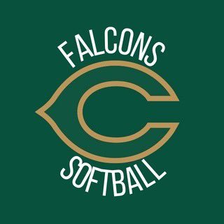 Cox High School Falcons Softball Profile