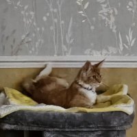 Debbie Amott (@debbieamott) 's Twitter Profile Photo Debbie Amott (@debbieamott) 's Twitter Profile Photo