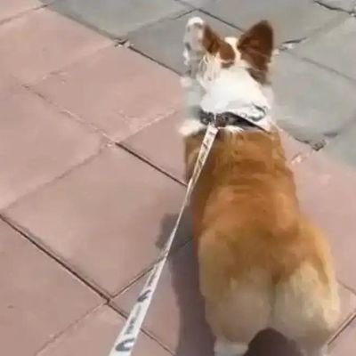 AoopQy's profile picture. 