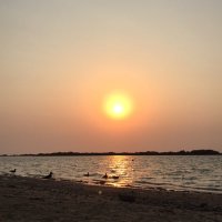 أبو هتان (@m_a22r) 's Twitter Profile
