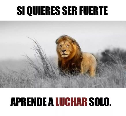 alfredo95262448's profile picture. 