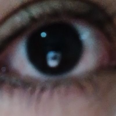 LeeDudu169868's profile picture. Biology
Compositor
