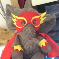 Mrs Jalland, Ellie Elephant and the herd π (@ellieprimary1) 's Twitter Profile