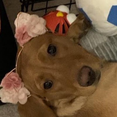 Spleen_23's profile picture. 