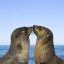 Scott Seale - @Seale22 - Twitter