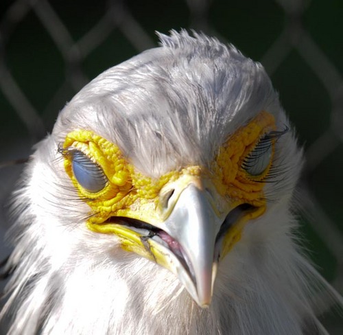 Click_of_Time's profile picture. 