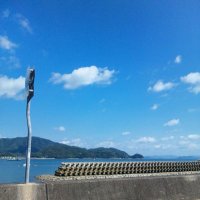 えひめ産みかん🍊 (@hassaku_yuge) Twitter profile photo