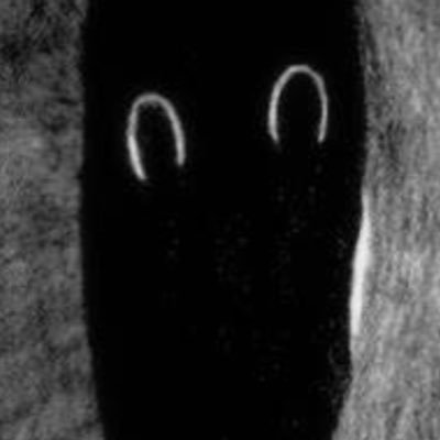 JasonElia63921o's profile picture. 