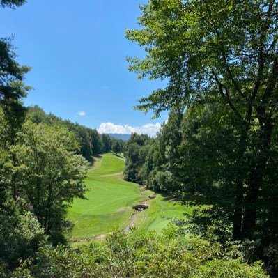 abush247's profile picture. 