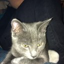 gillian docherty - @gdocherty87 - Twitter