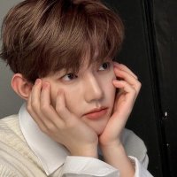 theo (@baobeihaos) 's Twitter Profile