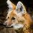 _Bassari's profile image