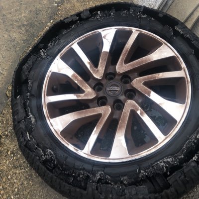 udyrourstigre's profile picture. 