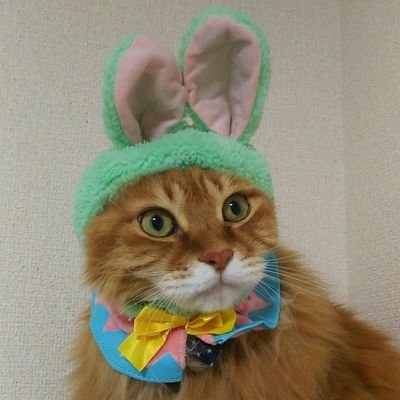 常にワンオペ!共感いいね失礼しますm(_ _)m
プリキュアに親子ではまり中…遡ってみていきたい◎
CS HSP 喘息、薬膳のこと勉強したい