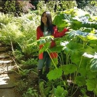 saiqa naz (@saiqa_naz) 's Twitter Profile Photo saiqa naz (@saiqa_naz) 's Twitter Profile Photo