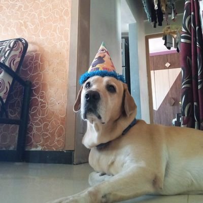 chekul03's profile picture. 