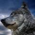 Profile Picture of Jemes Wolf Stepan (@JamesSKYGGE) on Twitter