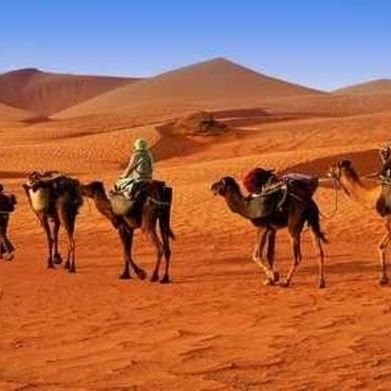 IsioloNomads's profile picture. PR and Marketing