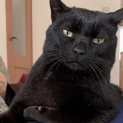 GpN58PKKfN67573's profile picture. 