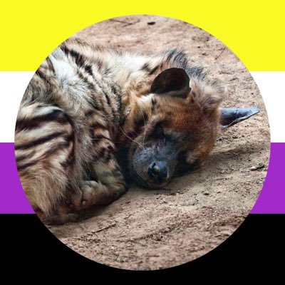 I’m Eden, 19 | Taken by my love @Fynn_boi | Gay 🏳️🌈 | Genderfluid | Furry yeen | ADHD/Anxiety/OCD| Check 📌 | Pfp base is by Skunkify |