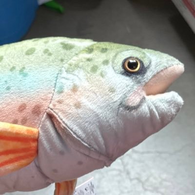 reeseさんのプロフィール画像